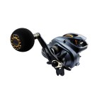 Large bait casting low profile fishing reel