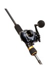 Large bait casting low profile fishing reel