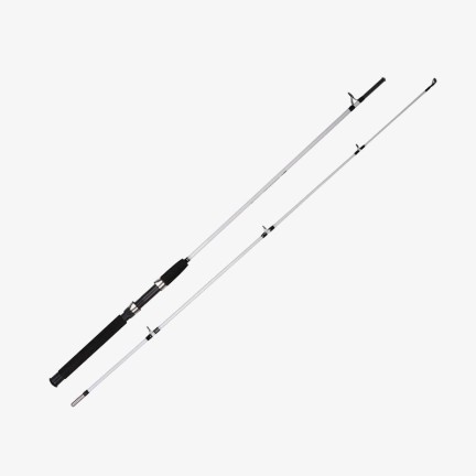 Portable 2-section telescopic fishing rod