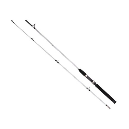 Portable 2-section telescopic fishing rod
