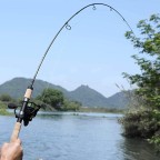 Ultralight two-section carbon fiber fishing rod