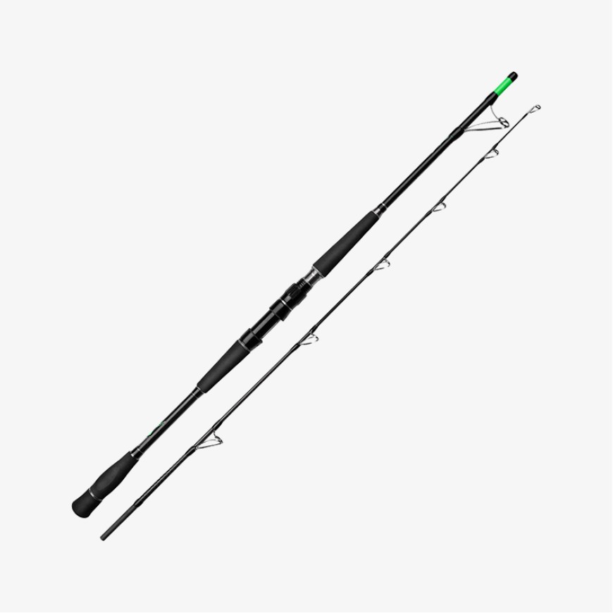 Leisure two-section portable fishing rod